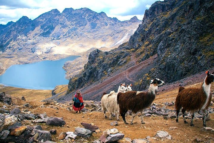 4-Day Lares Trek to Machu Picchu: Private Guided Hike Through Andean Villages photo 6