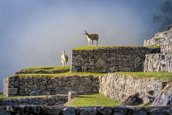 Machu Picchu Traditional 5-Day Tour: Cusco, Sacred Valley & Machu Picchu photo 4