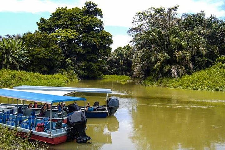 4-Day Tortuguero Adventure: Boat Tours, Rainforest Trails & Turtle Nesting