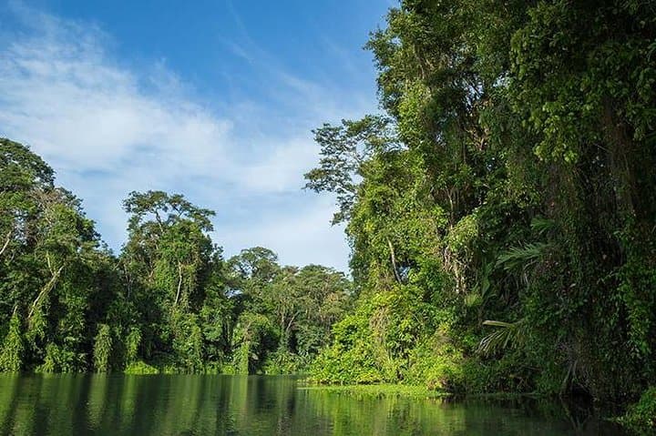 4-Day Tortuguero Adventure: Boat Tours, Rainforest Trails & Turtle Nesting photo 6