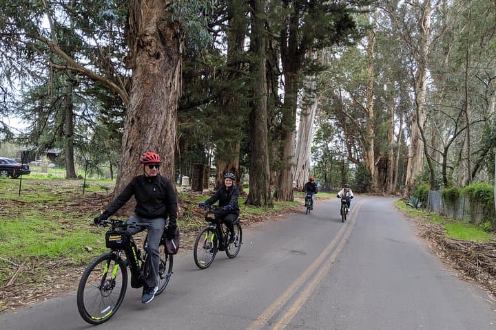 Sonoma E-Bike Wine Tour: Behind-the-Scenes Food & Cheese Experience photo 2