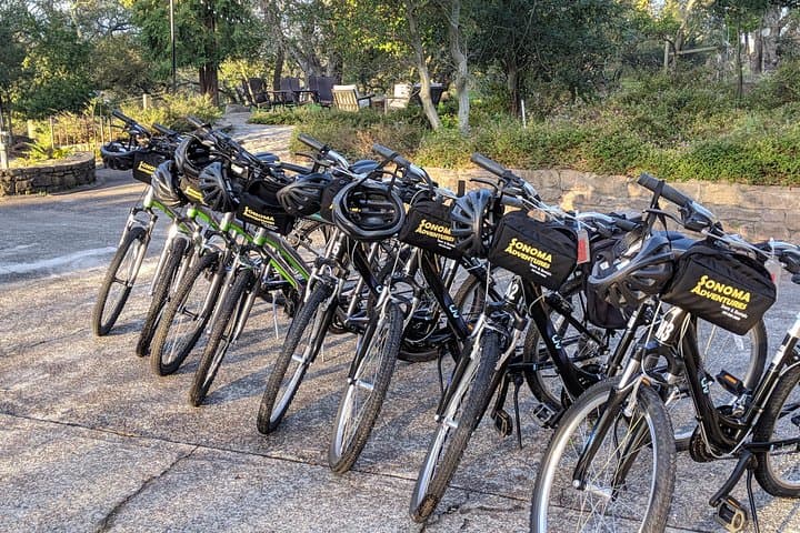 Sonoma E-Bike Wine Tour: Behind-the-Scenes Food & Cheese Experience photo 3
