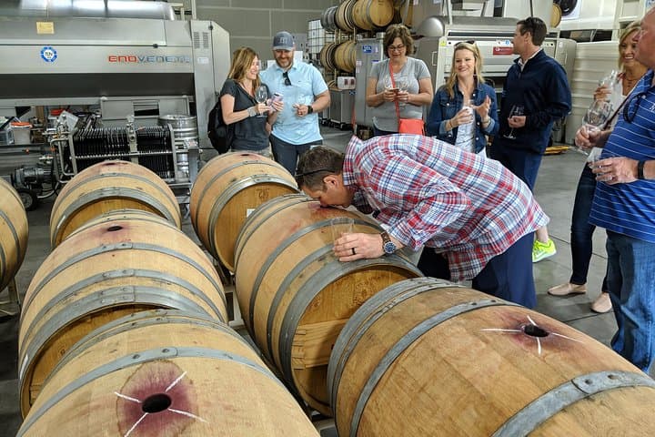 Sonoma E-Bike Wine Tour: Behind-the-Scenes Food & Cheese Experience photo 5