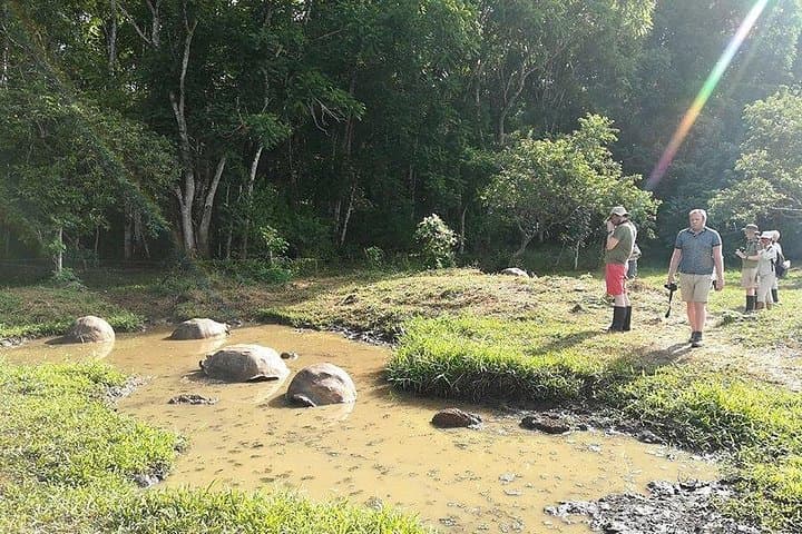 5-Day Galapagos & Los Tuneles Tour — Isabela and Santa Cruz Adventure photo 4