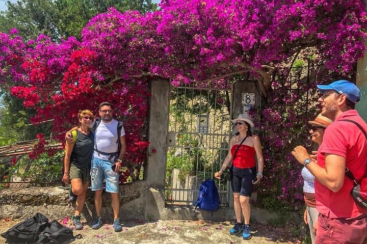 Path of the Lemons: Amalfi Coast Guided Lemon-Grove Walk photo 2