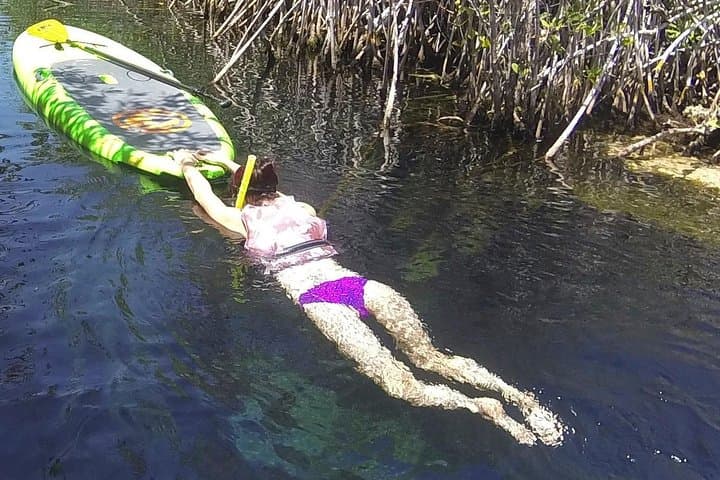 Paddleboard Cenote Tour in Tulum — SUP Through Mangroves & Crystal Caverns
