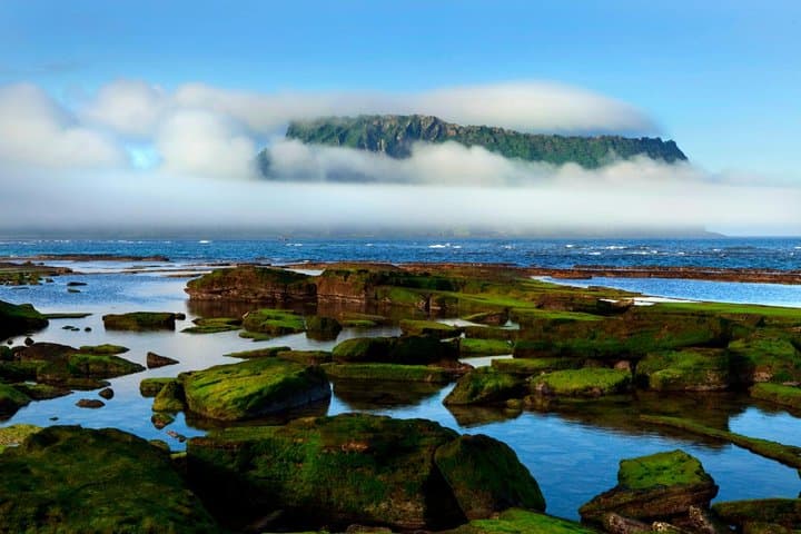 Design Your Own Full-Day Private Jeju Island Tour — Custom 9-Hour Guided Experience photo 4
