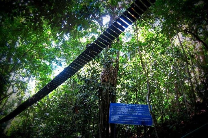 Mambukal Resort Day Tour: Hot Springs, Waterfalls & Zipline Near Bacolod photo 4