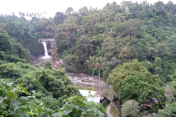 Full-Day Bali Island Tour from Ubud: Waterfalls, Temples & Rice Terraces photo 6