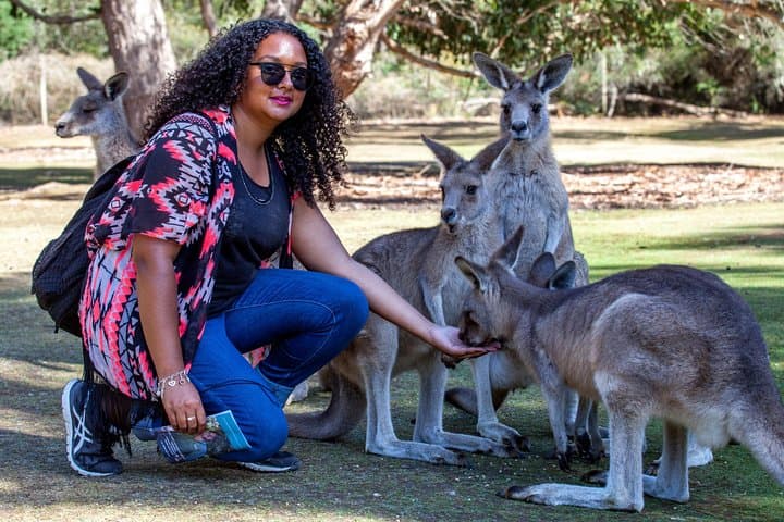 Three-Day Tasmania: Port Arthur, Wineglass Bay & Cradle Mountain photo 6