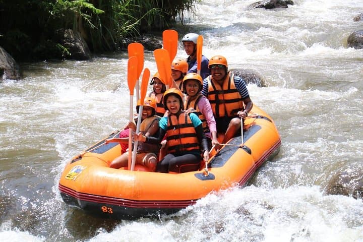 Ayung River Rafting in Bali: Half-Day Rafting with Lunch and Hotel Pickup photo 2