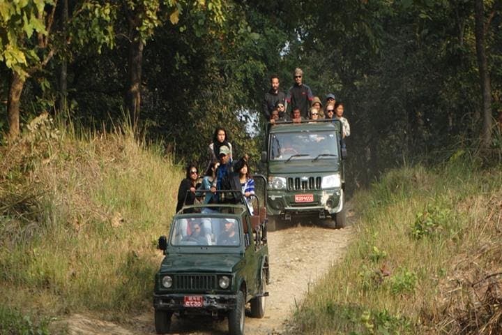 Chitwan Jeep Safari: Rhino, Tiger & River Safaris in Chitwan National Park photo 2