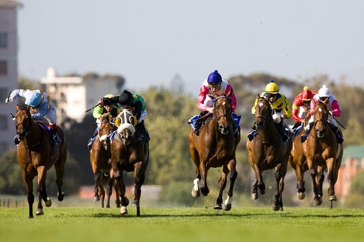 Kenilworth Raceday Tour: Table Mountain Views, Hospitality & Betting in Cape Town photo 1