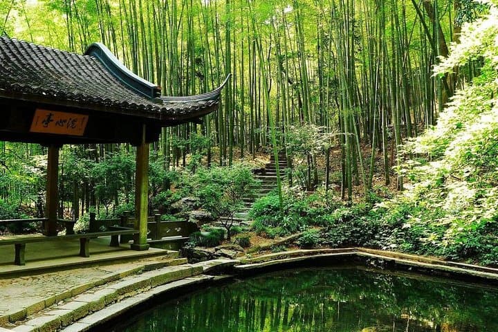 Yunxi Bamboo Forest & West Lake Day Tour: Tea Picking, Tasting and Sunset Boat Ride in Hangzhou photo 1