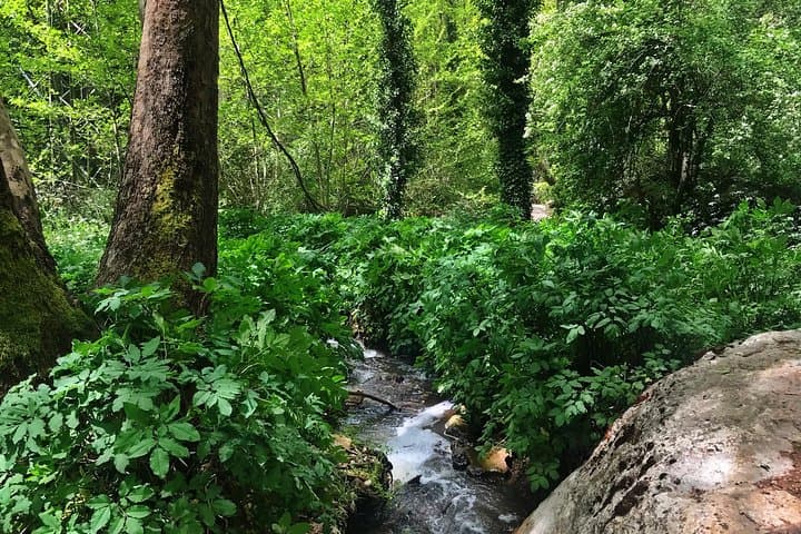 Hiking St Lichaa to Qannoubine: Qadisha Valley Walk from Mar Lishaa photo 4