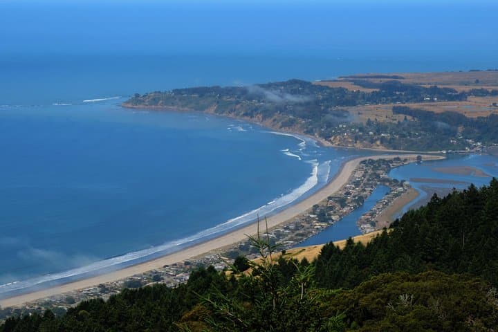 Discover Point Reyes: Private Day Tour to Coastal Cliffs & Ancient Redwoods photo 5