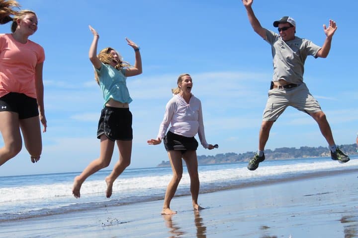 Discover Point Reyes: Private Day Tour to Coastal Cliffs & Ancient Redwoods