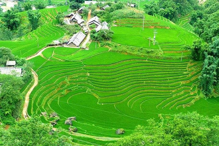Northern Vietnam Loop: 7-Day Trek, Karsts & Lan Ha Bay Cruise photo 4