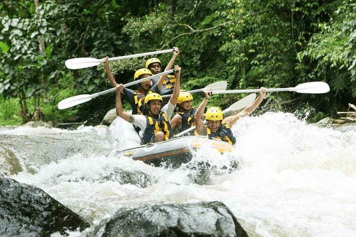Ayung River White-Water Rafting with Bali Mason Adventure — 9.6km Ubud Run photo 5
