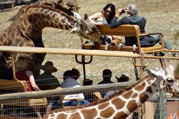 Safari West Jeep and Redwoods: Sonoma Wild Safari Adventure