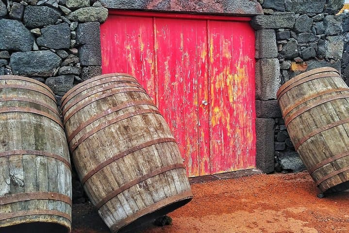 Pico Vineyard & UNESCO Wine Tour — Madalena’s Centenary Vines photo 2