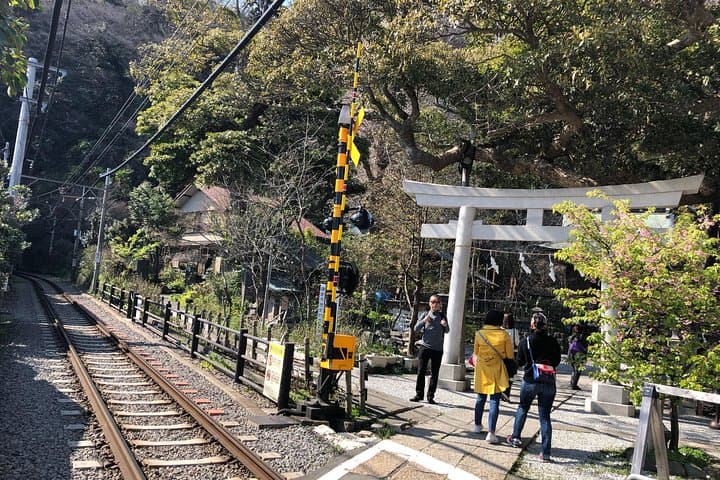 Kamakura Scenic Bike Tour: Temples, Bamboo Groves and Coastal Views photo 4