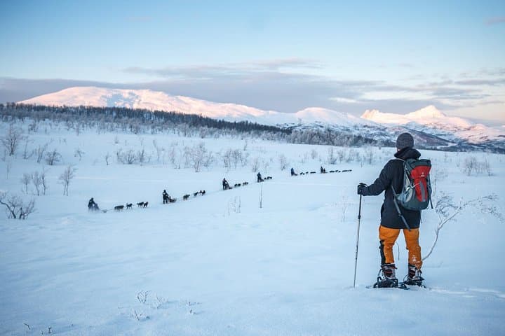 Guided Morning Snowshoe Hike with Huskies near Tromsø