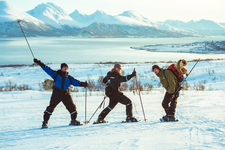 Guided Morning Snowshoe Hike with Huskies near Tromsø photo 4