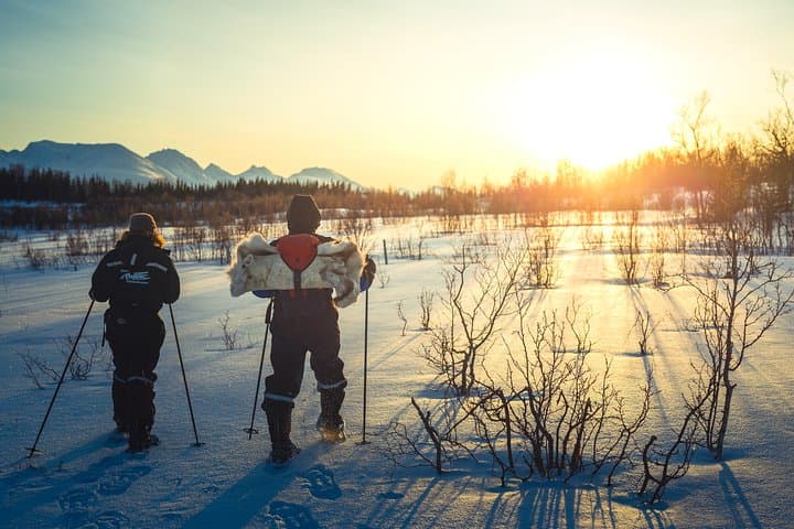 Guided Morning Snowshoe Hike with Huskies near Tromsø photo 6