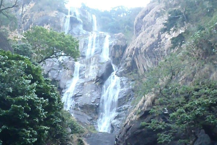 3-Day Mikumi & Udzungwa Safari: Game Drives, Primate Treks & Sanje Falls photo 3