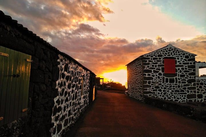 Pico Vineyard Sunset Walk and Regional Dinner: UNESCO Vineyard Tour photo 3