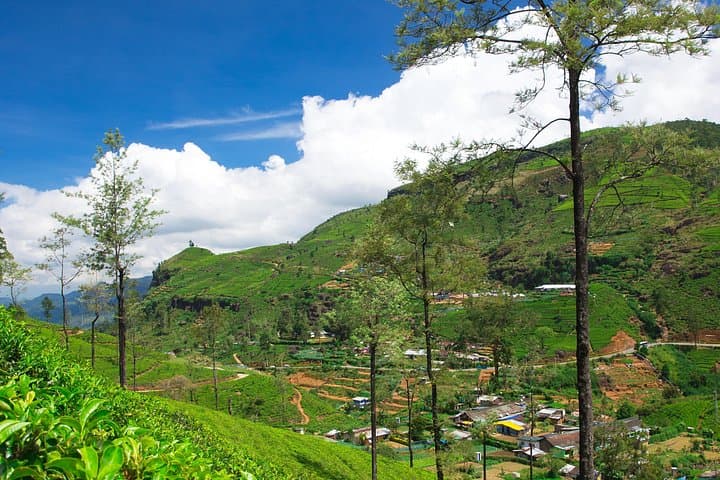 Misty Mountain Trails: 2-Day Hikkaduwa to Nuwara Eliya & Horton Plains photo 3