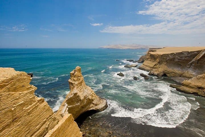 Paracas National Reserve Private Tour: Desert Cliffs, Coastal Wildlife & Local Fisheries