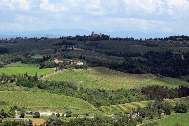 Private Chianti Wine & Olive Oil Tasting — Day Trip from Florence photo 6