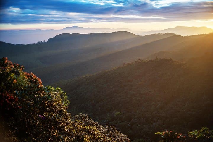Misty Mountain Trails: 2-Day Hikkaduwa to Nuwara Eliya & Horton Plains photo 4