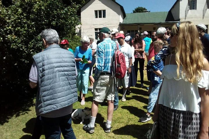 Kiambethu Tea Farm Day Tour: Tea Fields, Forest Walks & Farm-to-Table Lunch photo 5