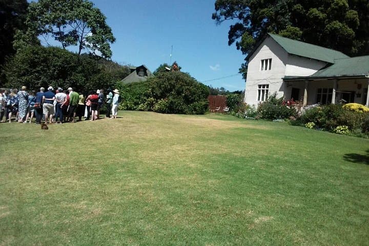 Kiambethu Tea Farm Day Tour: Tea Fields, Forest Walks & Farm-to-Table Lunch photo 6