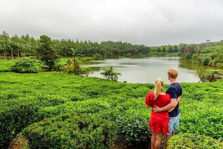 Wild South Mauritius: Full-Day Tour to Bois Chéri, Rhumerie St Aubin & Gris-Gris Cliffs
