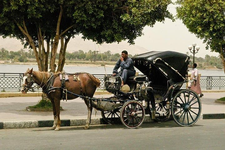 Horse Carriage Tour in Luxor — Nile Corniche & City Culture photo 1