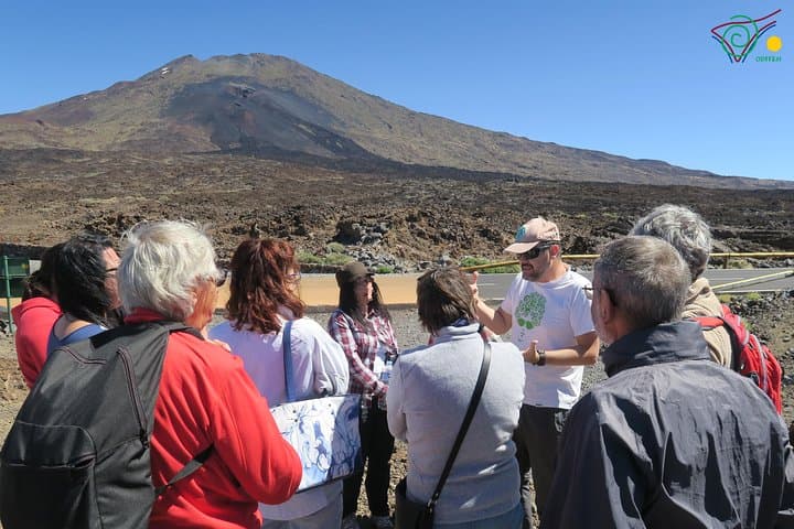 Tenerife Tailored Day: Trekking, Wineries & Birdwatching Tour photo 3