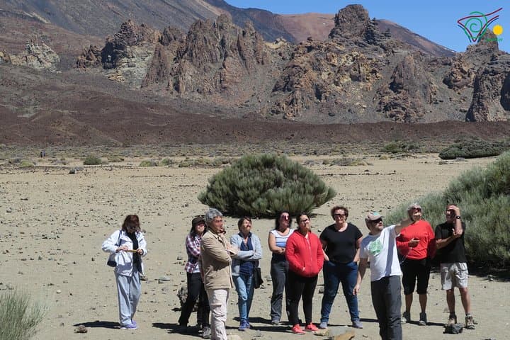Tenerife Tailored Day: Trekking, Wineries & Birdwatching Tour photo 4