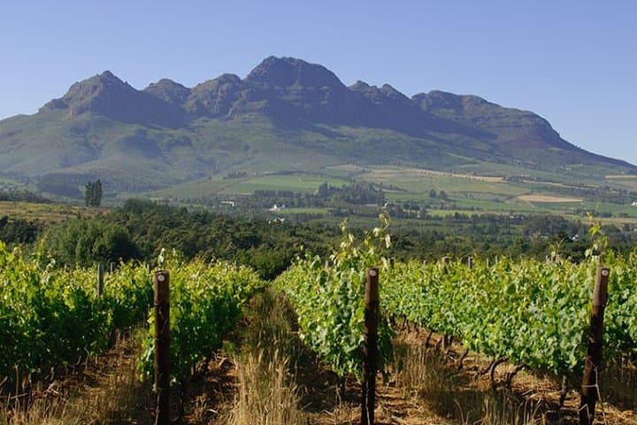 Private Stellenbosch Winelands Tour: 4x4 Wine Safari, Reserve Tastings & Brandy Pairings photo 4
