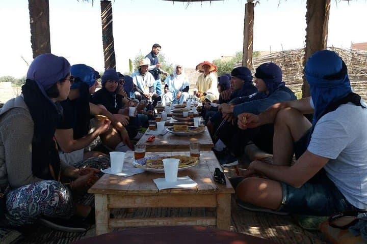 Half-Day Camel Ride in Marrakech Palm Grove — Sunset Camels & Berber Tea photo 3