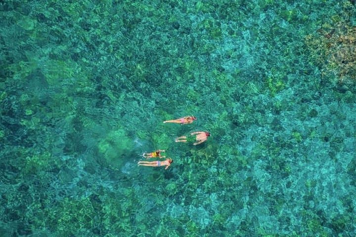 Kealakekua Bay Snorkeling Adventure: Explore Hawaii’s Underwater Sanctuary photo 4