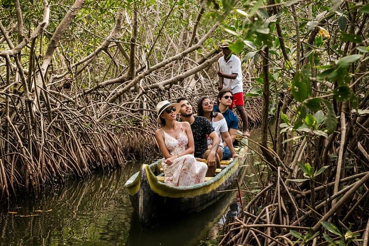 Cartagena Mangrove Canoe Tour & Walled City Shore Excursion