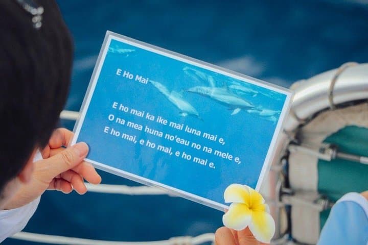 Waikiki Whale Watching Cruise: Hula, Hydrophones & Diamond Head Views photo 5