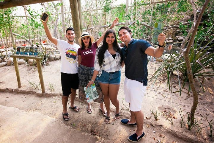 Inside Colombia's National Aviary: Private Tour from Cartagena to See 170+ Bird Species photo 2