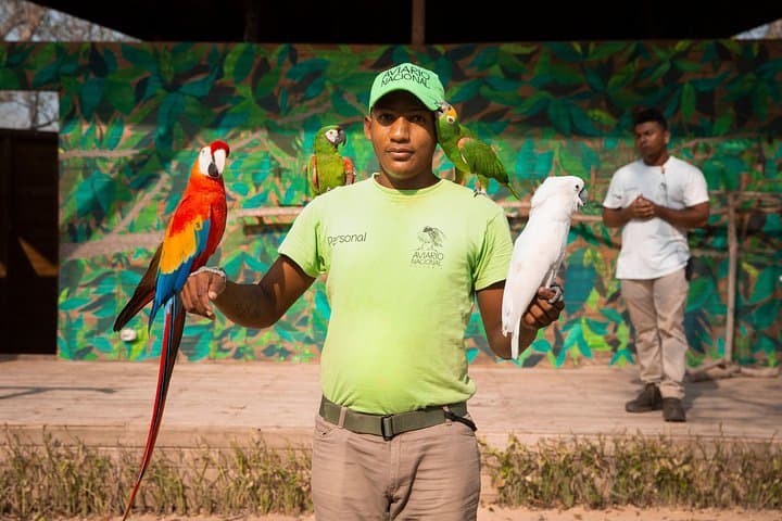 Inside Colombia's National Aviary: Private Tour from Cartagena to See 170+ Bird Species