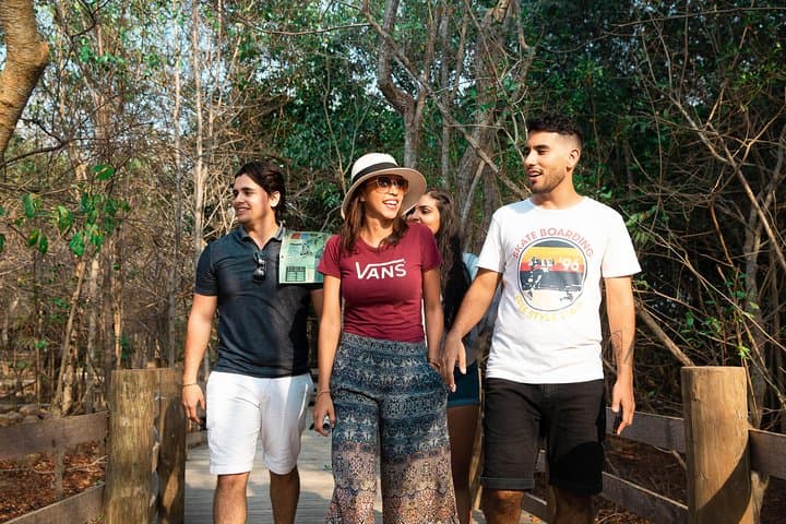 Inside Colombia's National Aviary: Private Tour from Cartagena to See 170+ Bird Species photo 6