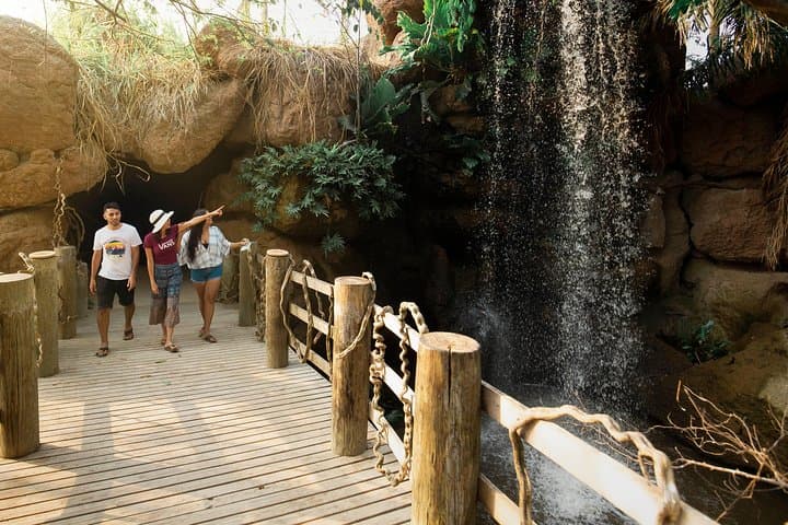 Inside Colombia's National Aviary: Private Tour from Cartagena to See 170+ Bird Species photo 4